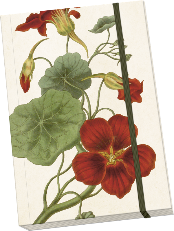 Sköna Ting Notatbok ulinjert