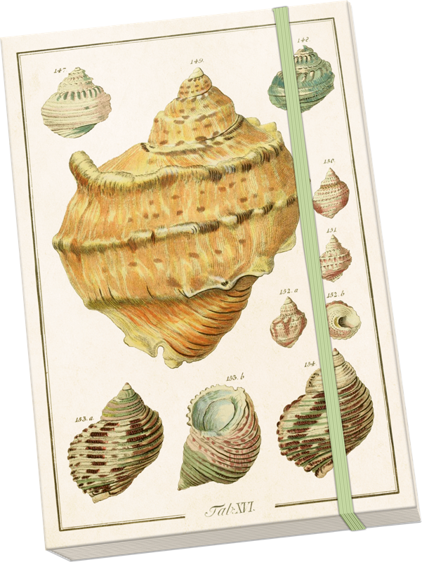 Sköna Ting Notatbok ulinjert