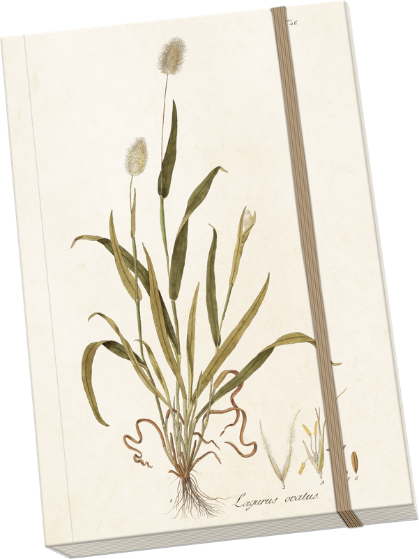 Sköna Ting Notatbok ulinjert