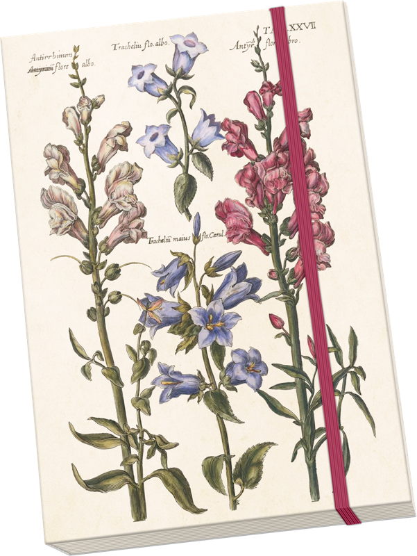 Sköna Ting Notatbok ulinjert