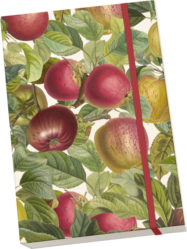 Sköna Ting Notatbok ulinjert