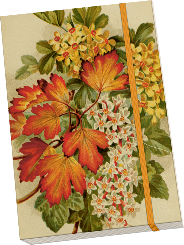 Sköna Ting Notatbok ulinjert