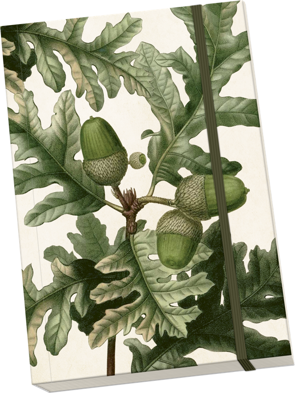 Sköna Ting Notatbok ulinjert