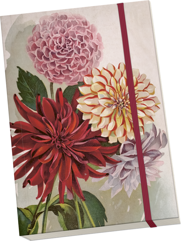 Sköna Ting Notatbok ulinjert