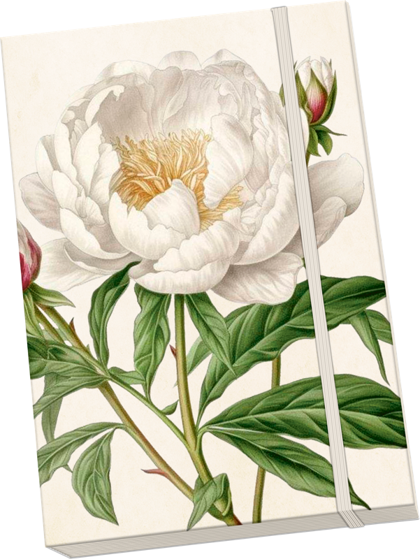 Sköna Ting Notatbok ulinjert