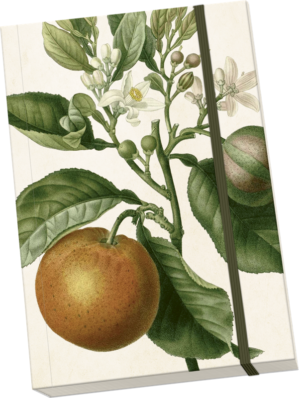 Sköna Ting Notatbok ulinjert