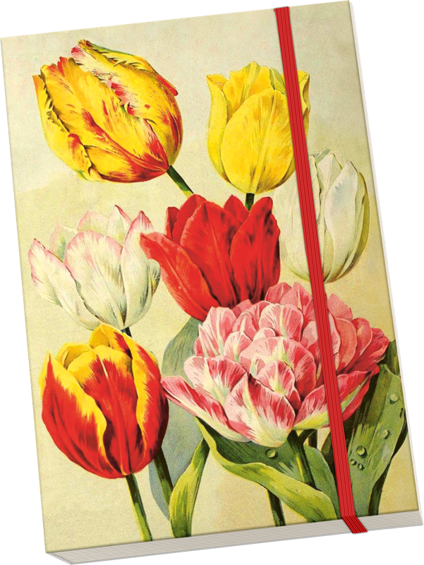 Sköna Ting Notatbok ulinjert