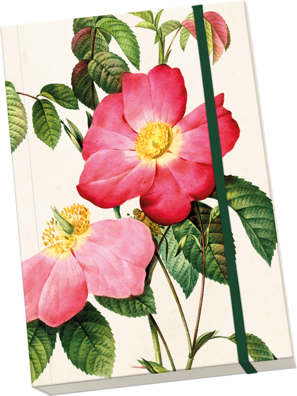 Sköna Ting Notatbok ulinjert