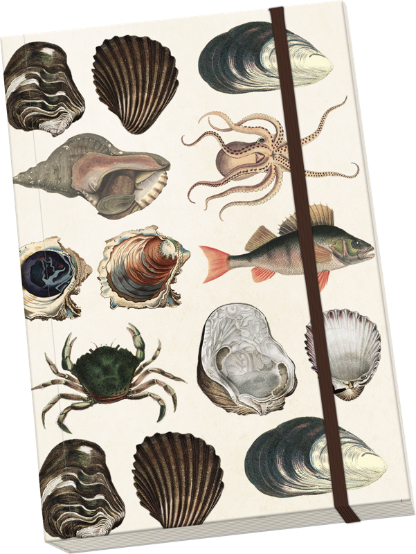 Sköna Ting Notatbok ulinjert