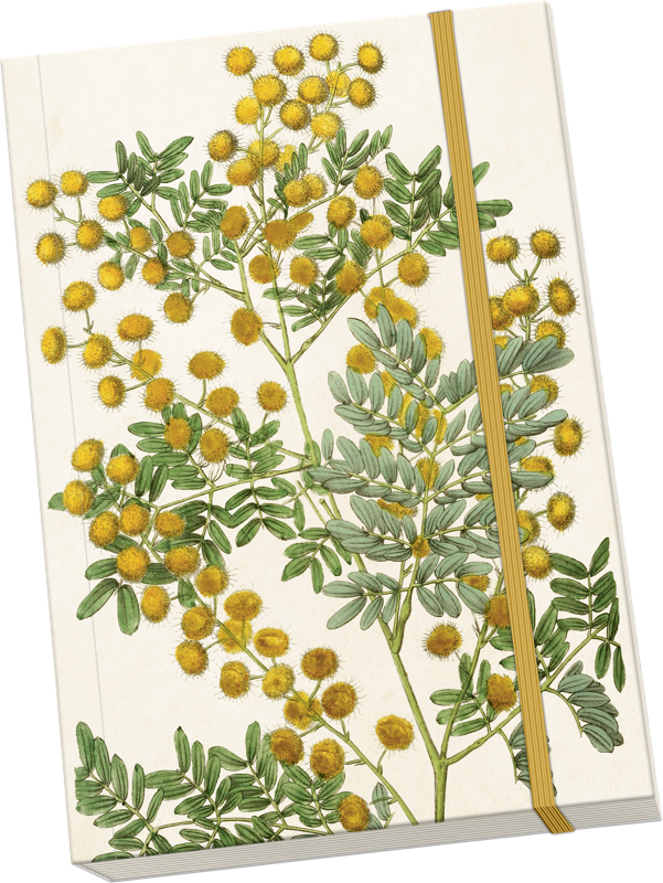 Sköna Ting Notatbok ulinjert