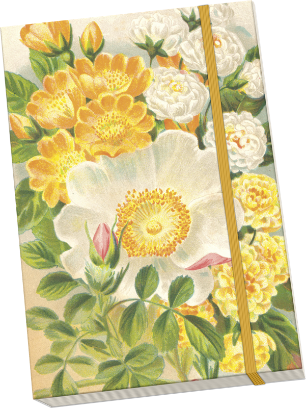 Sköna Ting Notatbok ulinjert