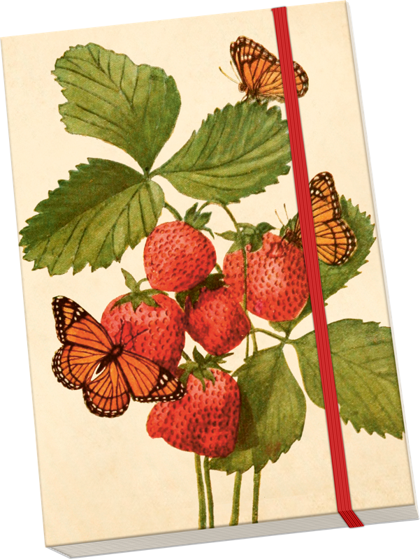 Sköna Ting Notatbok ulinjert