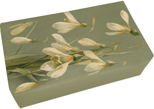 Såpestykke Eple 6-pakk