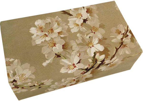 Såpestykke Fersken 6-pakk