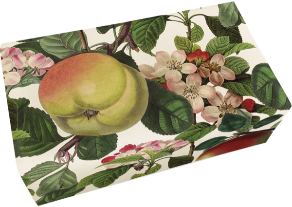 Såpestykke Eple 6-pakk