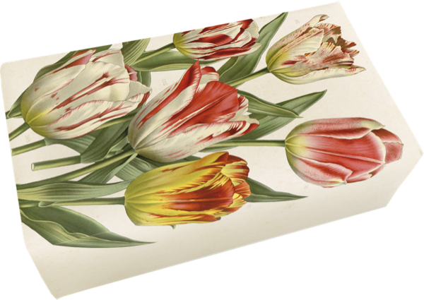 Såpestykke Tulipan 6-pakk
