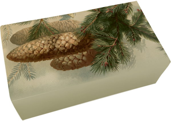 Såpestykke Vanilje 6-pakk