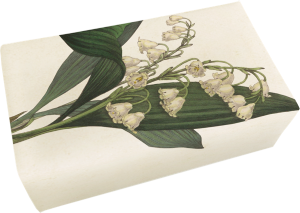 Såpestykke Liljekonvall 6-pakk