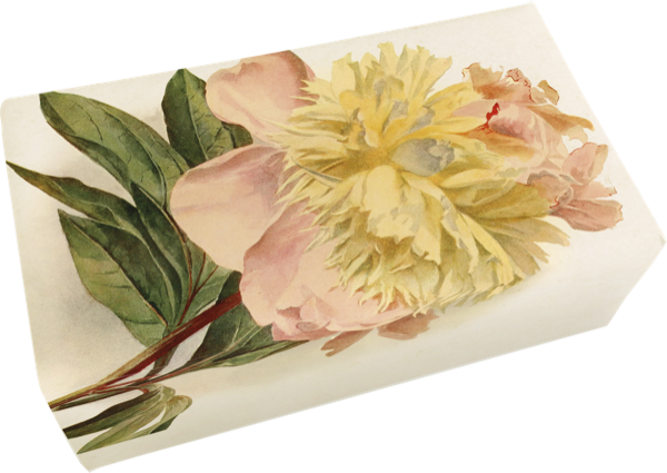 Såpestykke Fersken 6-pakk