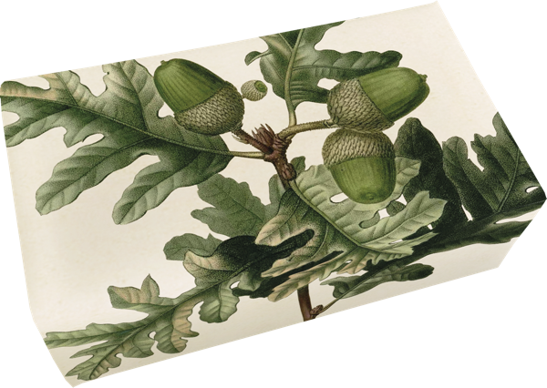 Såpestykke Sitron 6-pakk