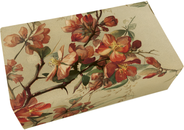 Såpestykke Fersken 6-pakk