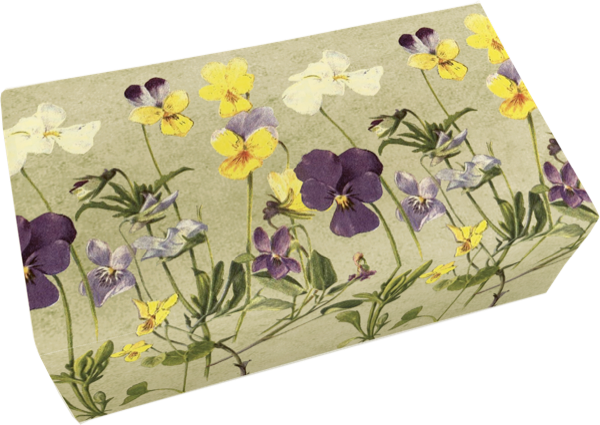 Såpestykke Fiol 6-pakk