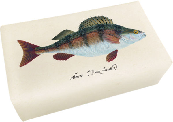 Såpestykke Sitron 6-pakk