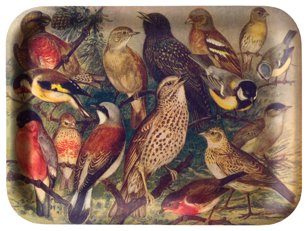 Tebrett av tre 27x20 cm