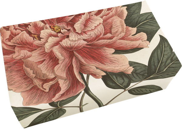 Såpestykke Rose 6-pakk