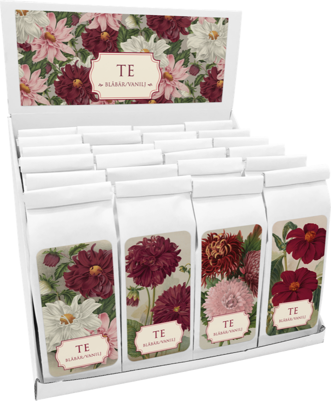 Te 24-pakk med Blåbær Vanilje