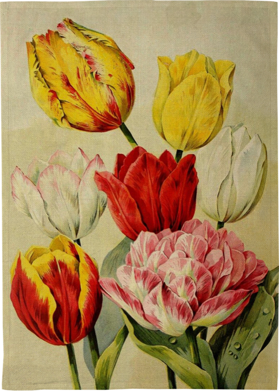 Kj�kkenhåndkle 50x70cm