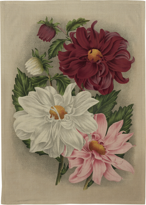 Kj�kkenhåndkle 50x70cm