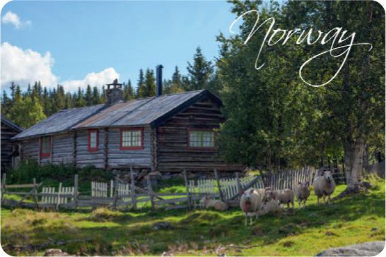 Kj�leskapsmagnet Norway