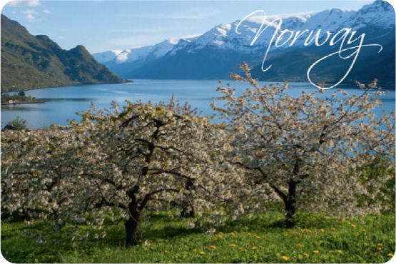 Kj�leskapsmagnet Norway