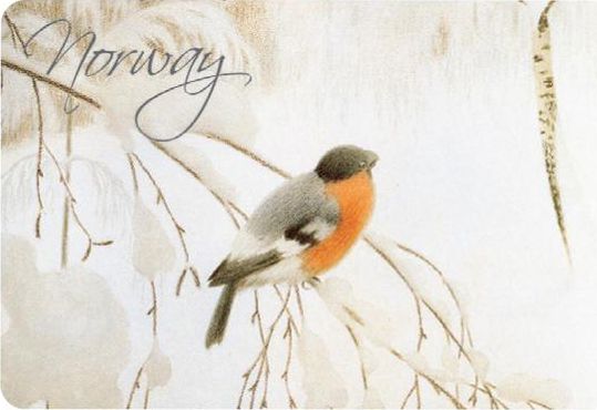 Kj�leskapsmagnet Norway