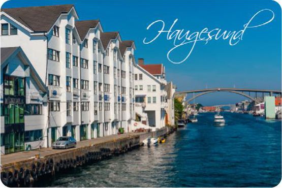 Kj�leskapsmagnet Hagesund