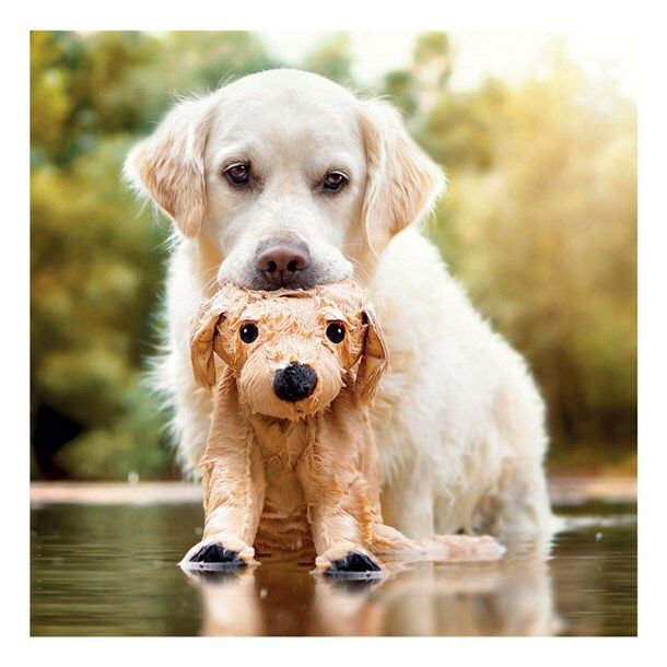 TRACKS 2882 16x16 6 pakk