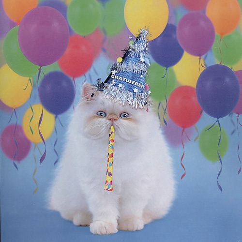 TRACKS 2199 16x16 6 pakk