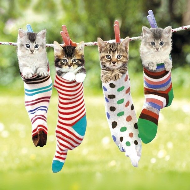 TRACKS 2511 16x16 6 pakk