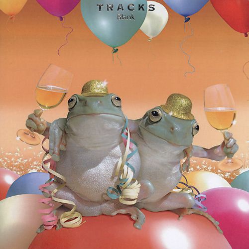 TRACKS 2216 16x16 6 pakk