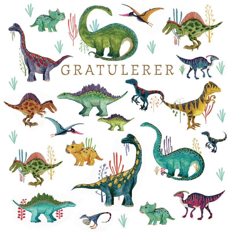 2859 TRACKS 12x12 6 pakk