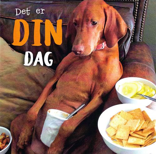 TRACKS c3114 16x16 6 pakk