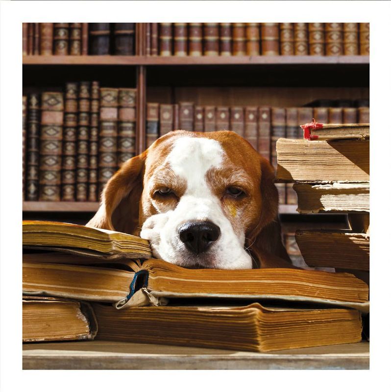 TRACKS 3338 16x16 6 pakk