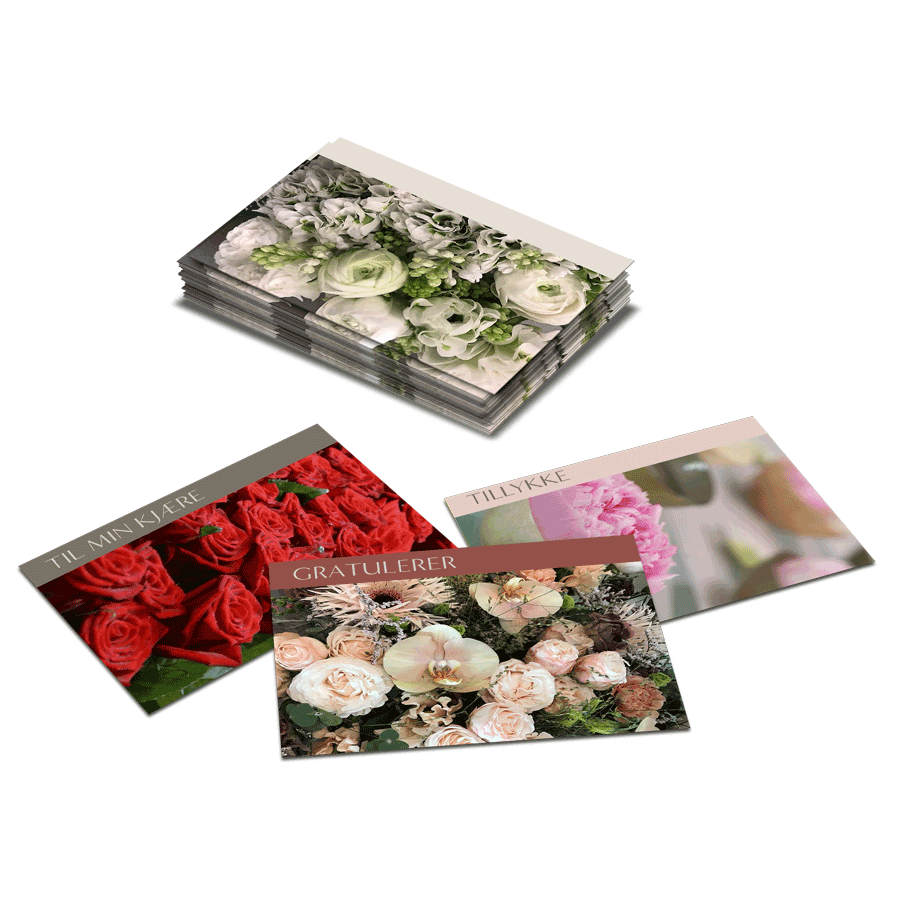 Tobbe Minikort Full pakke