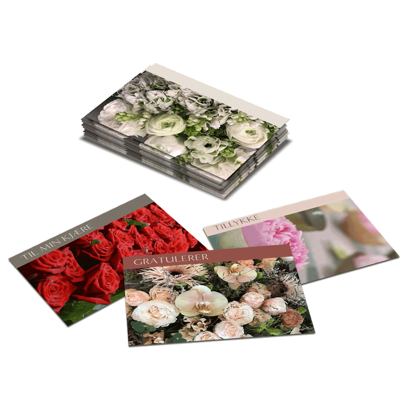 Tobbe Minikort Full pakke