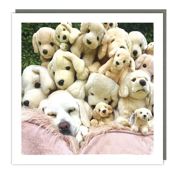 TRACKS c2735 16x16 6 pakk