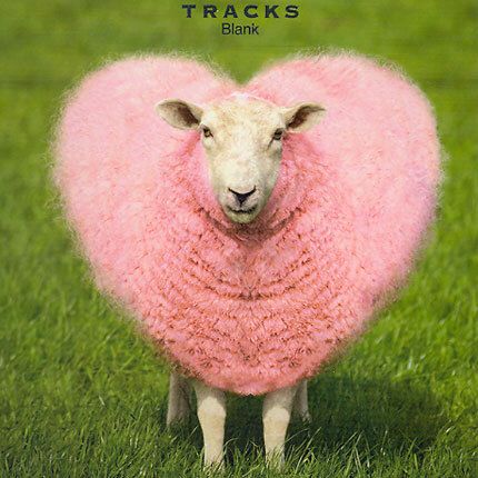 TRACKS 1494 16x16 6 pakk