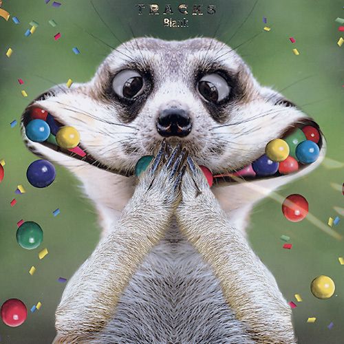 TRACKS 2030 16x16 6 pakk