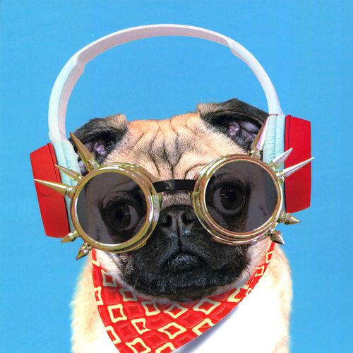 TRACKS 2202 16x16 6 pakk