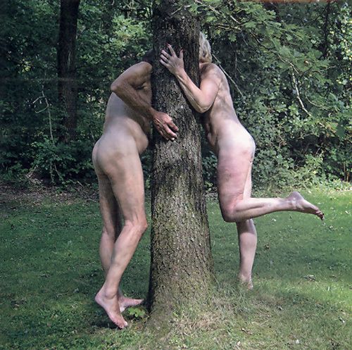 TRACKS 2455 16x16 6 pakk